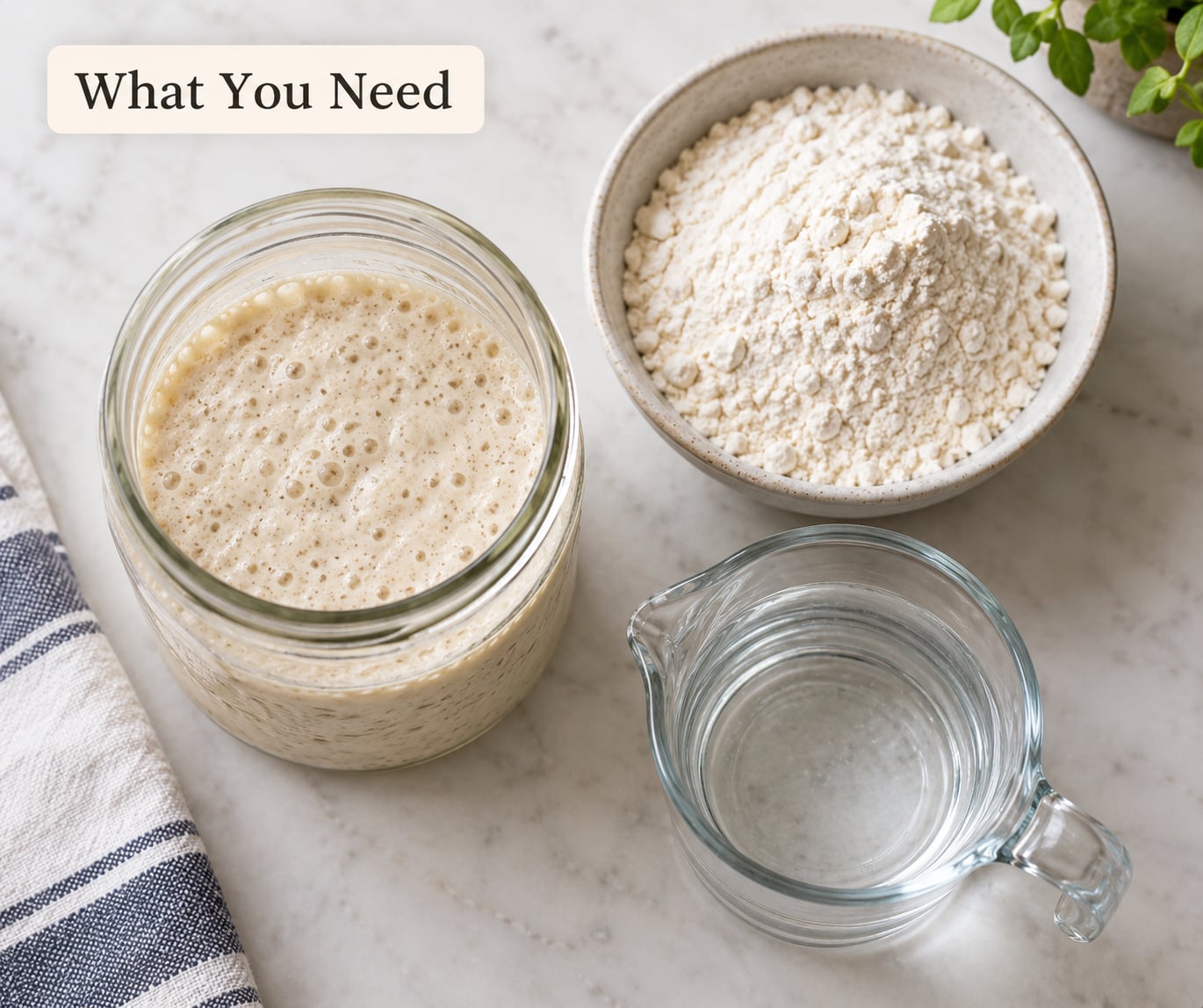 What You Need